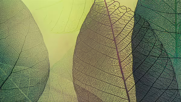 close up of several leaves in bright greens and purple