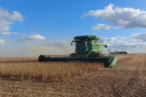 combine harvesting soybeans