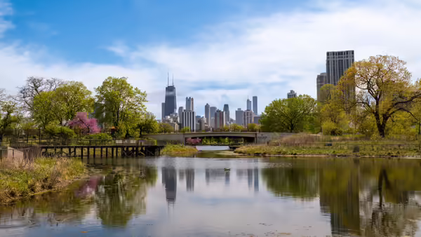 The skyline of Chicago reflected in the lake, surrounded by nature 