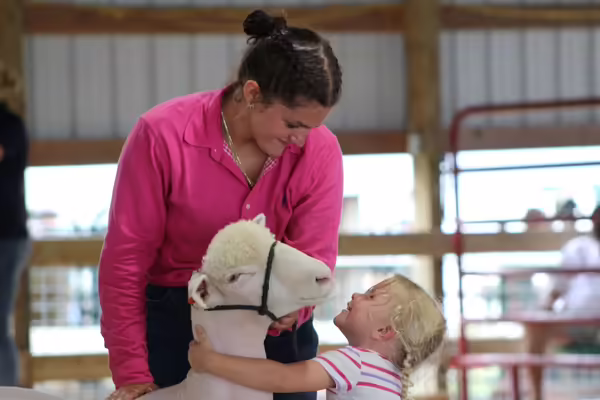 4-H member with young child during sheep show 