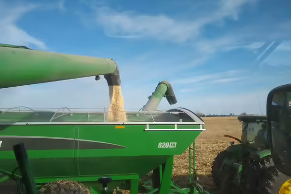 grain flowing into a wagon