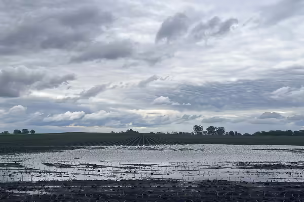 farm land with standing water