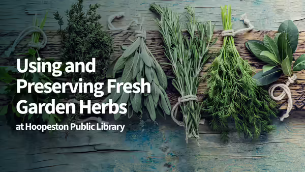 Using and Preserving Fresh Garden Herbs at Hoopeston Public Library. Various herbs in the background