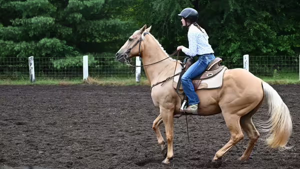girl on a horse