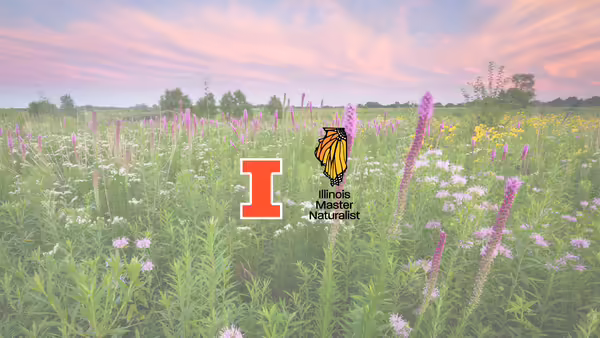 a prairie at sunset