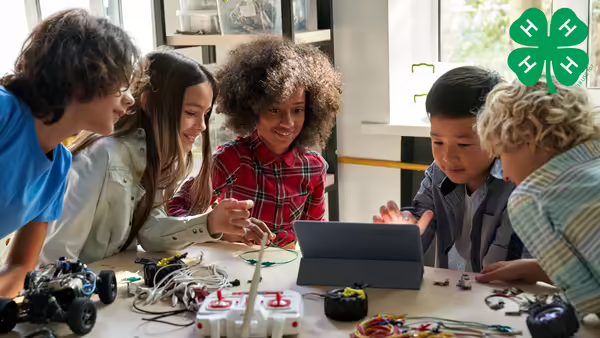 Coding Camp