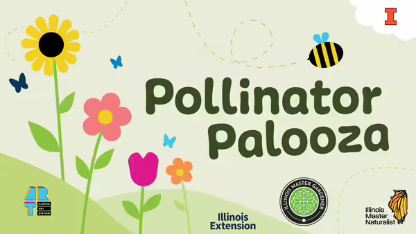The title of Pollinator Pallooza surrounded by flowers, butterflies, and bees with icons that are youthful. 