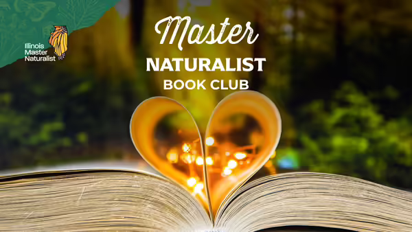 Open book in front of green wooded background. Two pages are shaped in a heart with soft lights in the middle.