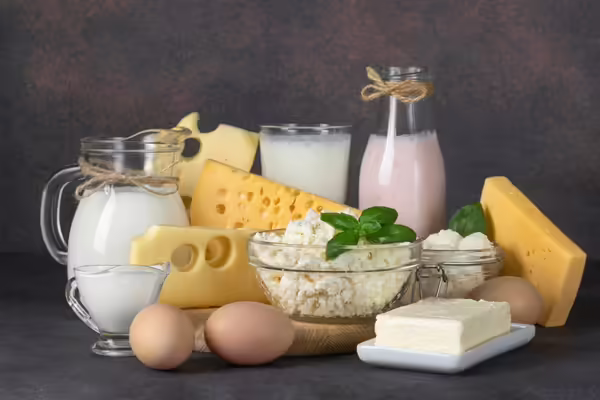 assorted cheeses, yogurt, kiefer, milk