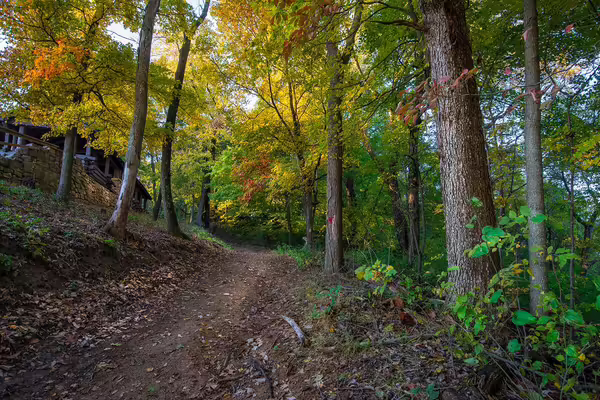 A dirt path through an Illinois forest in fall