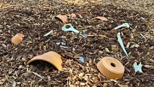 broken pots and fossils scattered across mulch