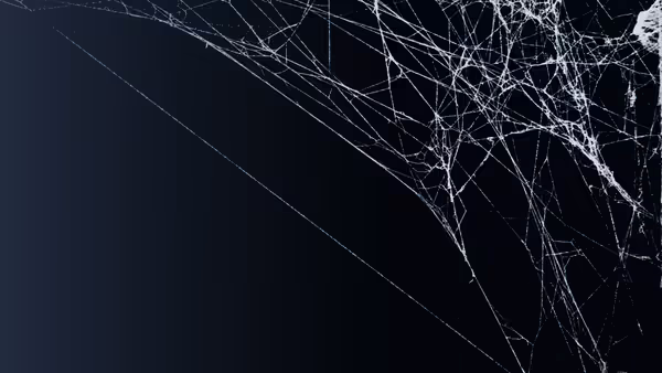 spider web