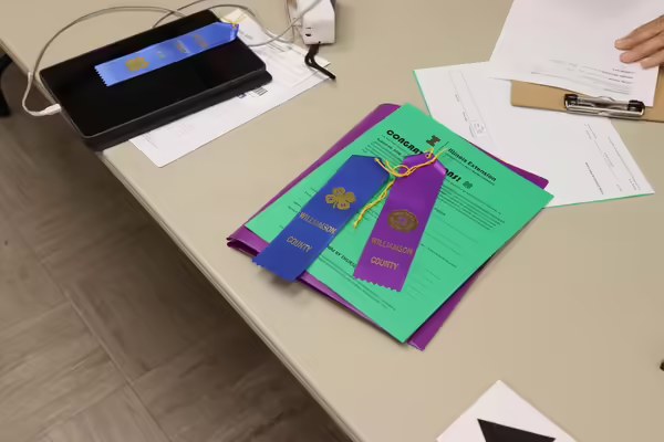 A 4-H blue ribbon and an Illinois State Fair delegate ribbon on top of a green paper that says "Congratulations!"