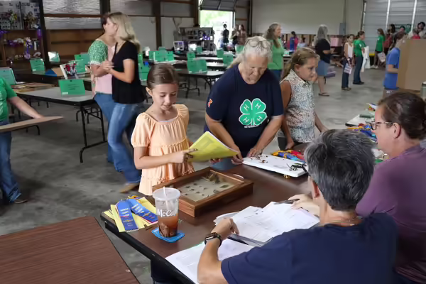 A young 4-H member showing her entomology project to the judge.