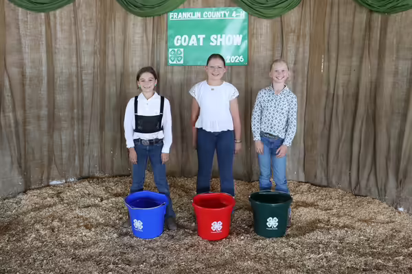 Franklin County 4-H Junior Showmanship winners for goats.