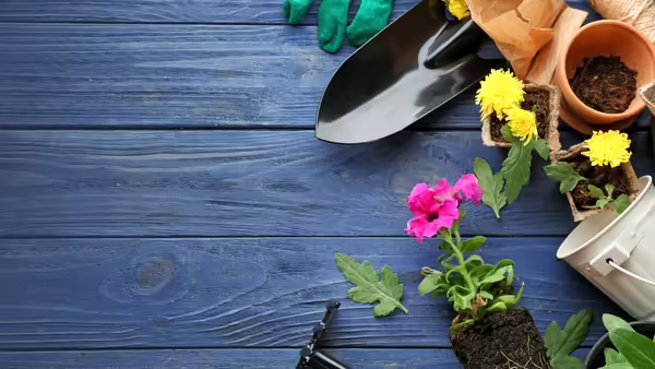 gardening tools on table
