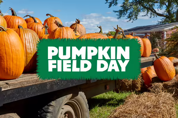Pumpkins on a truck