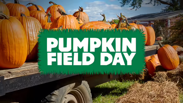 Pumpkins on a truck with Pumpkin Field Day text