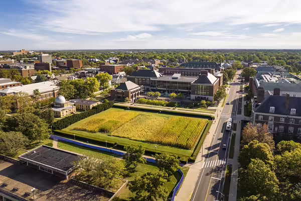 A field of crops, the Morrow Plot, on the U of I campus