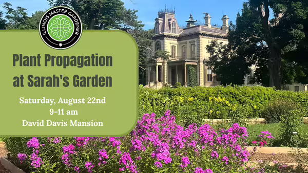 The David Davis Mansion sits beyond a bed of pink flowers inside the historic Sarah's Garden