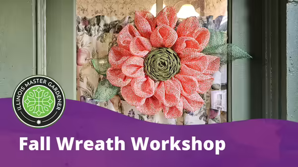 Pink fabric wreath on glass panes surrounded by green door paneling.