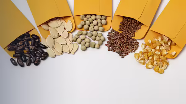 seed packets