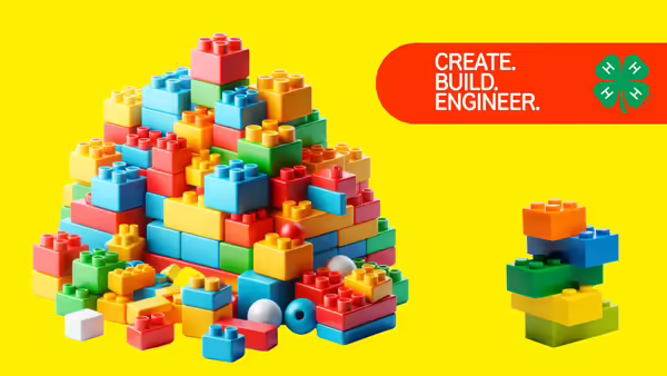 pile of plastic brick toys