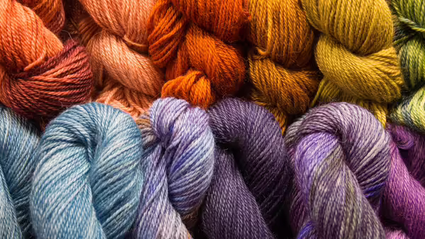 a close-up of yarn, bundled in a variety of colors