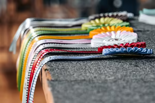 4-H Showmanship Rosette Ribbons