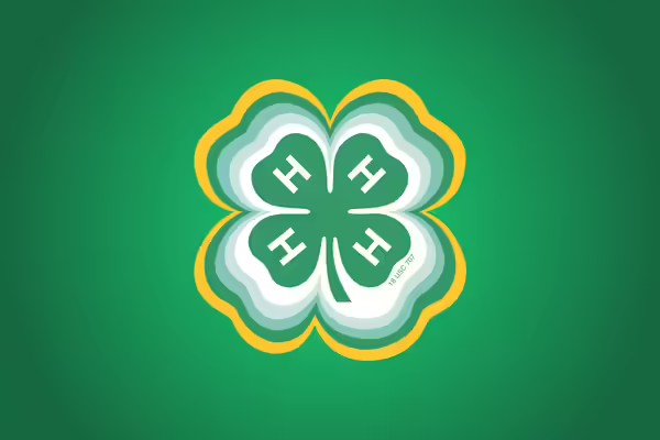 4-H clover radiating