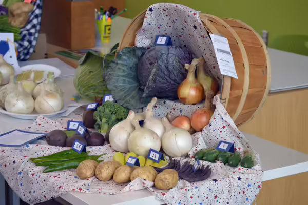 An arrangement of produce grown by a 4-H is displayed