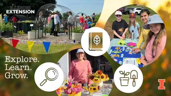 collage of photos from Idea Garden