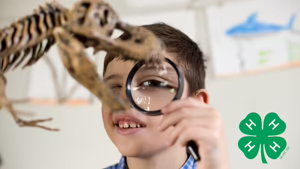 Photo of child using magnifying glass to look at a dinosaur skeleton 