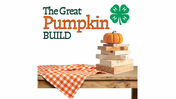 pumpkin sitting on table