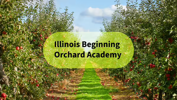 apple orchard