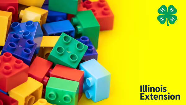 A bunch of multicolored Legos 
