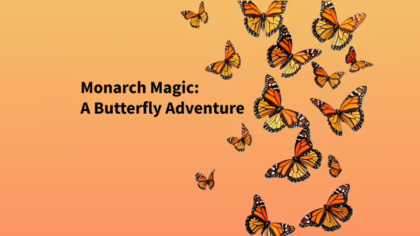 butterflies