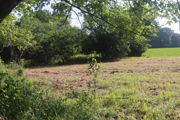 A mowed field framed by trees. The site of the prairie restoration project.
