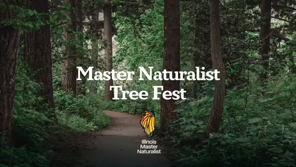 Tree Fest graphic featuring a forest trail with the Illinois Master Naturalist logo and the title Master Naturalist Tree Fest.