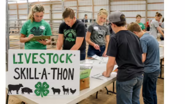 Livestock team