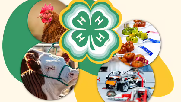 cow, chicken fruit, robot and 4-H symbol