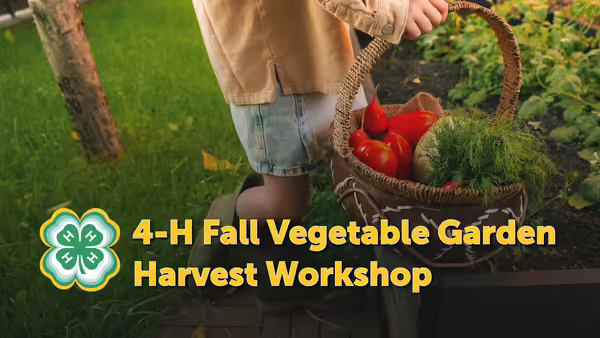 4-H Fall Vegetable Garden Harvest Workshop