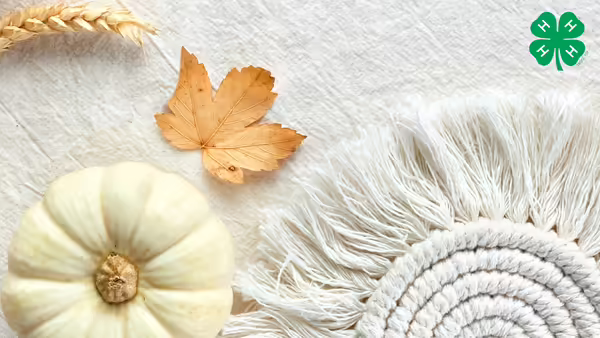 A small white pumpkin, a leaf, a stalk of wheat, and a fringed macrame on a cream fabric background.