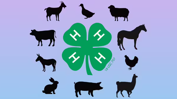 A green four-leaf 4-H clover logo surrounded by black silhouettes of farm animals arranged in a circle against a pastel gradient background.
