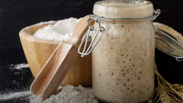An active sourdough starter in a glass jar next to a wooden scoop resting in a wooden bowl filled with white flour.