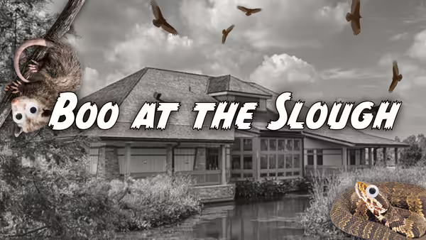 Boo at the Slough on top of black and white image of building with colorized bat and snake 