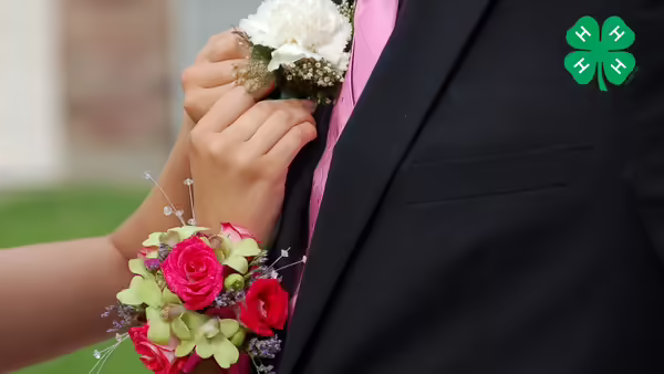 Image of person wearing a corsage pinning a boutonniere onto another person