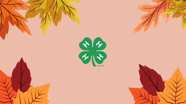 A green 4-H clover surround by fall color leaves. 