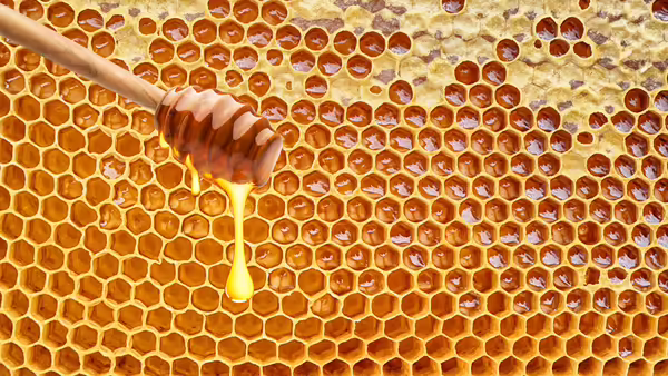 Close-up of a honeycomb filled with golden honey, with a wooden honey dipper drizzling a thick stream of honey across the surface.
