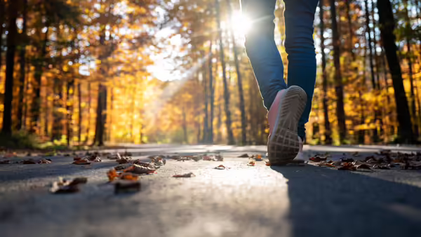 close up of the feet of a person walking on paved path in fall clored trees 